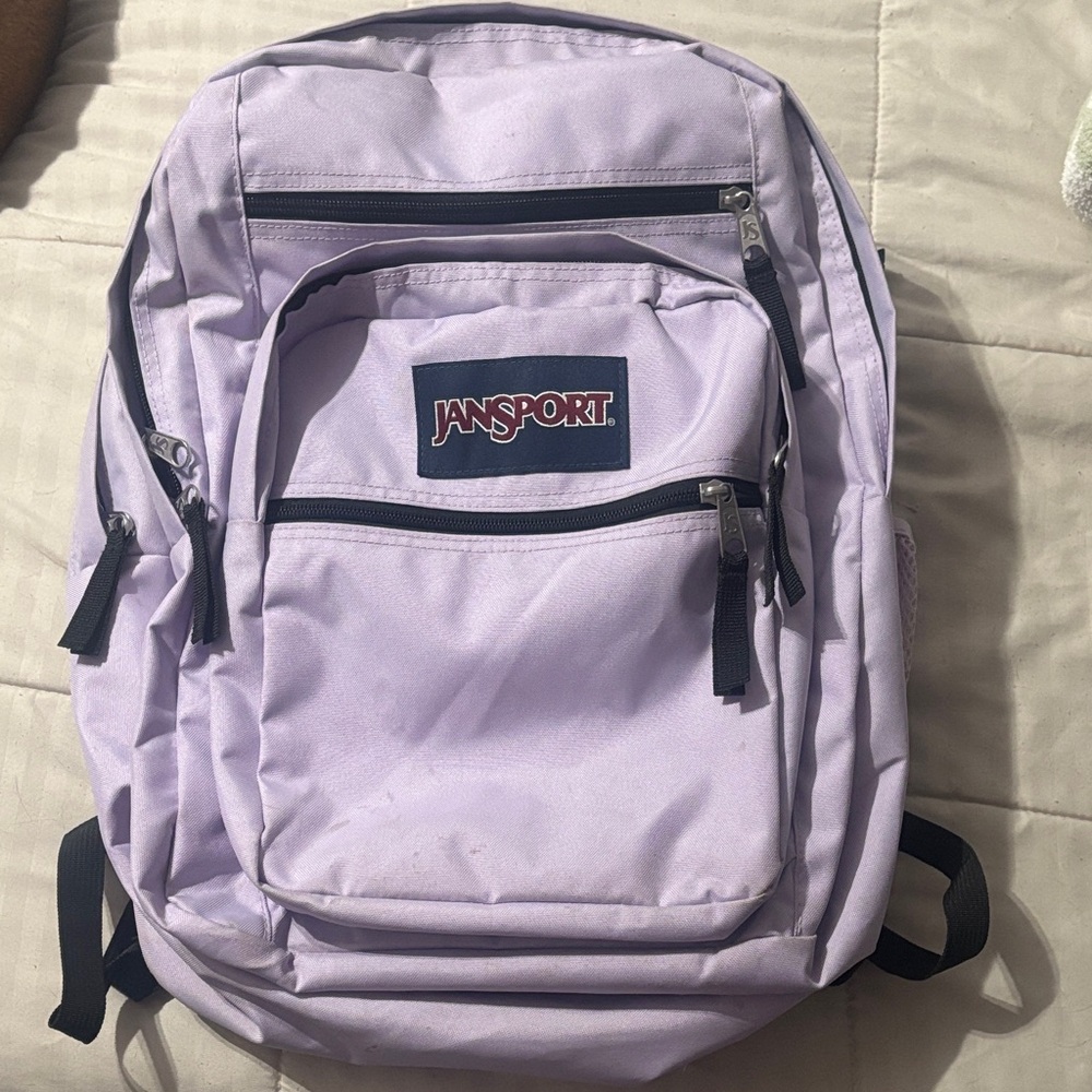 JanSport Light Purple Backpack